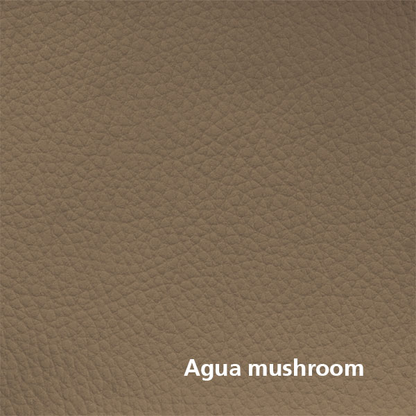 Agua-mushroom Agua