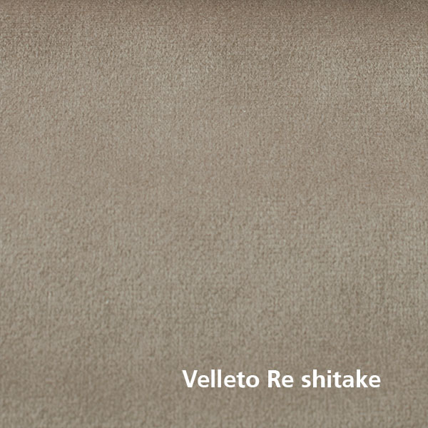 Velleto-Re-shitake Velleto RE